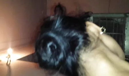 Estudiantes blancos y rusos, sentados en una silla, niña, pezón se caen y sus ojos cojiendo vesinas se iluminan