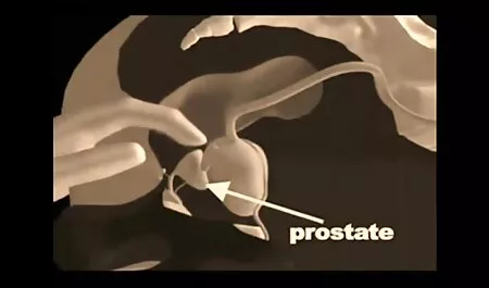 Ushastenka krasotulya apaciguar a la madre con la vecinita tiene antojo video porno un grito entre sus piernas